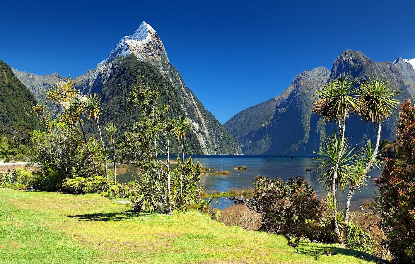 Nouvelle-Zélande paysage